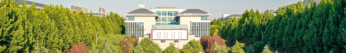 56.nt必赢官网