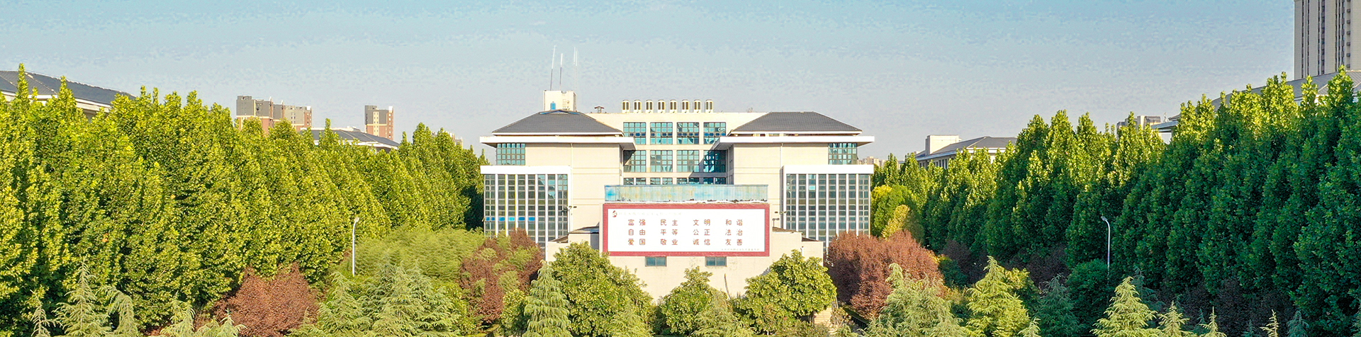 56.nt必赢官网